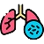 Chest & Respiratory